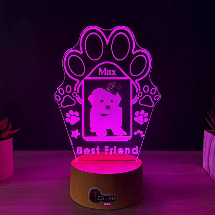 Lampa 3D Personalizata cu Poza – Best Friend