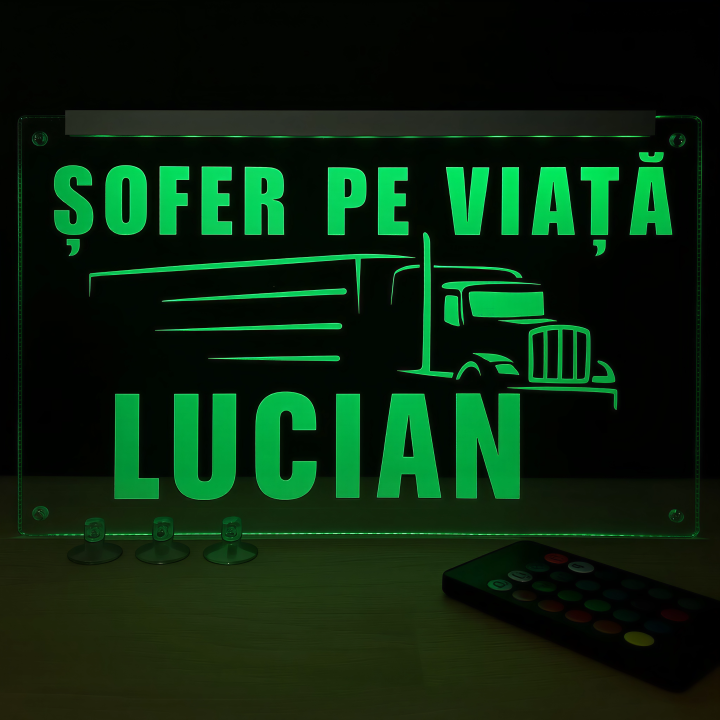 Placheta Tir 35 cm x 23 cm x 5mm cu 4 ventuze – Model Sofer pe viata